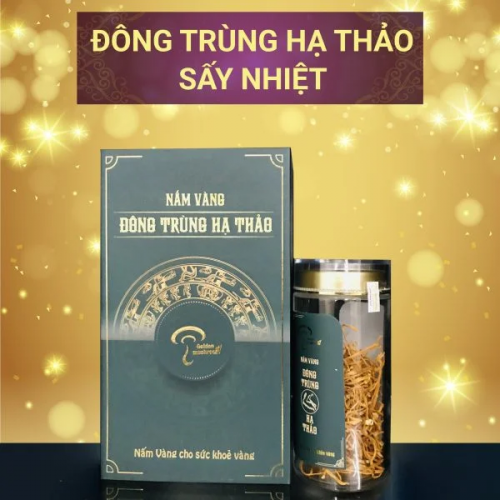 đông trùng hạ thảo sấy nhiệt st