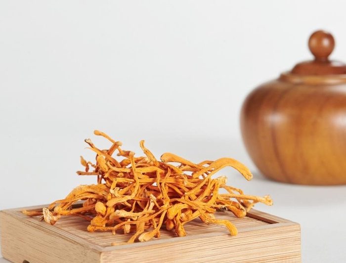 đông trùng hạ thảo khô