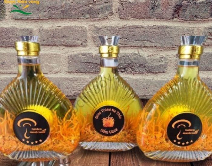 rượu đông trùng hạ thảo